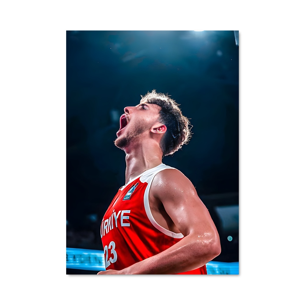 Poster Anadolu efes